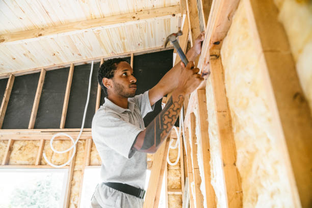 Insulation for Commercial Buildings in Lake Of The Woods, IL