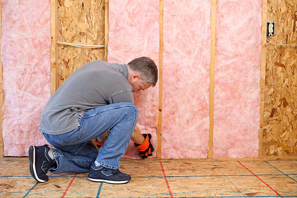 Best Insulation for New Construction  in Lake Of The Woods, IL