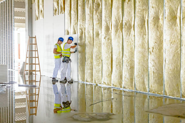 Best Garage Insulation Installation  in Lake Of The Woods, IL